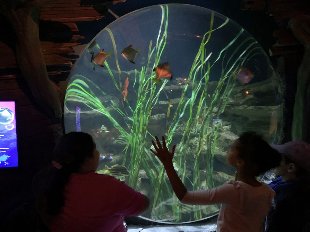 Ausflug ins Sea Life