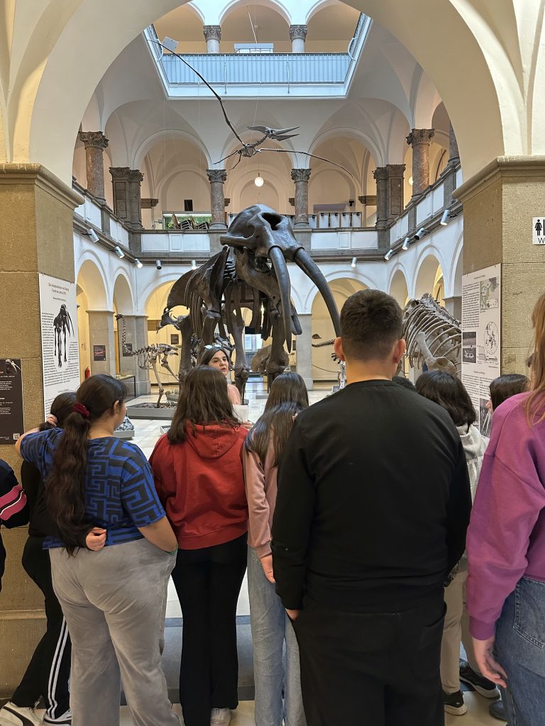 Besuch des Paläontologischen Museums