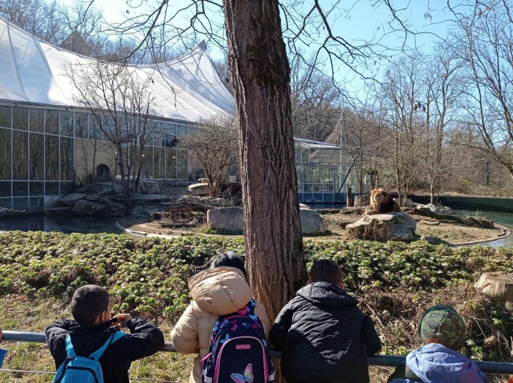 Besuch des Tierparks Hellabrunn