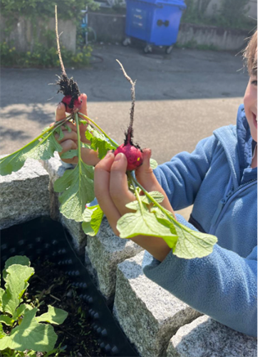 Gartenarbeit